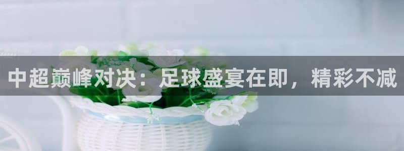 中超巅峰对决：足球盛宴在即，精彩不减