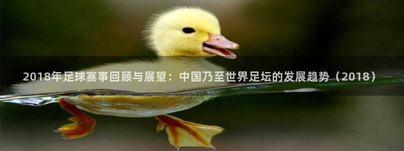 熊猫体育官网：2018年足球赛事回顾与展望：中国乃至世界足坛