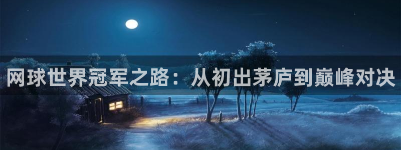 熊猫app官方网站熊猫体育直播：网球世界冠军之路：从初出茅庐