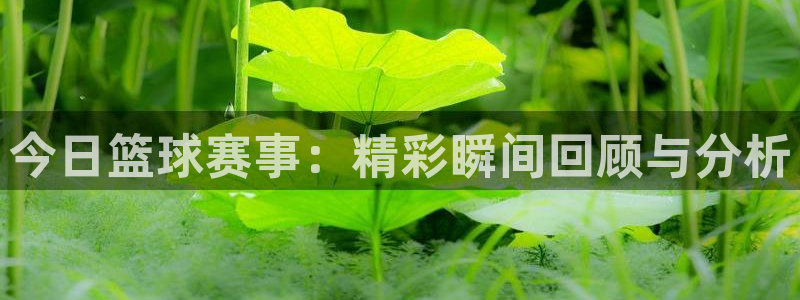熊猫体育下载官网苹果版：今日篮球赛事：精彩瞬间回顾与分析