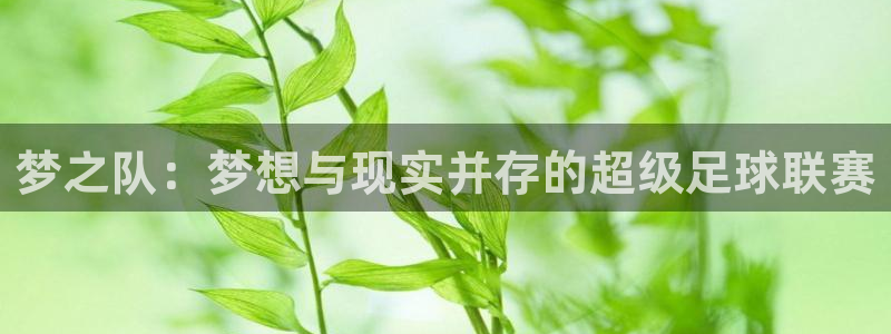 熊猫体育下载免费手机：梦之队：梦想与现实并存的超级足球联赛