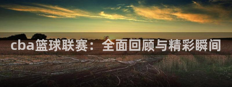 熊猫体育iOS：cba篮球联赛：全面回顾与精彩瞬间