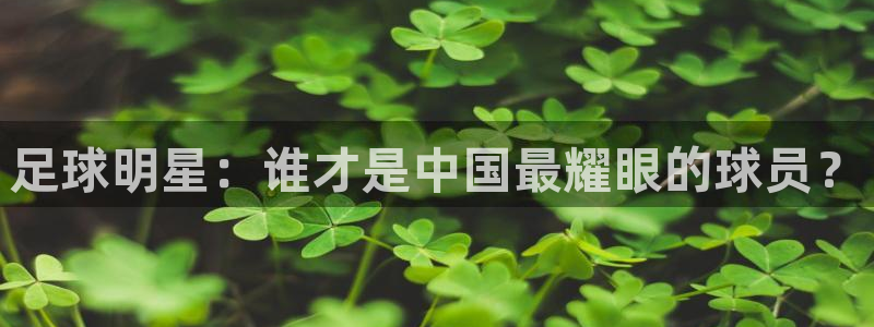 熊猫体育手机版下载安装：足球明星：谁才是中国最耀眼的球员？