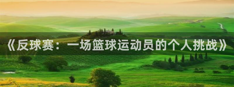 熊猫体育直播app下载官网苹果：《反球赛：一场篮球运动员的个