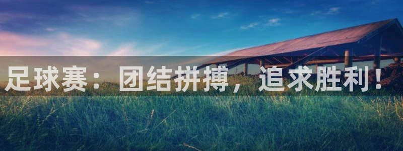 熊猫体育手机版下载官网:足球赛:团结拼搏,追求胜利!