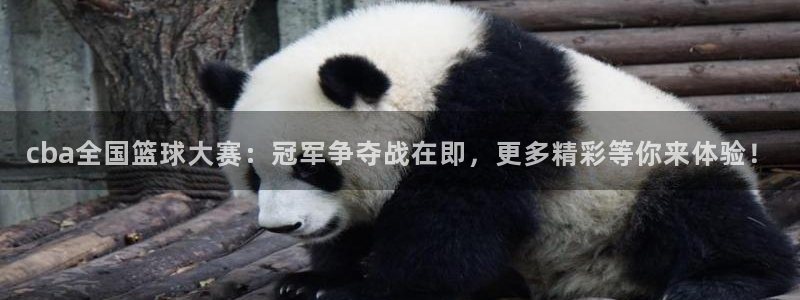 熊猫体育有风险吗：cba全国篮球大赛：冠军争夺战在即，更多精